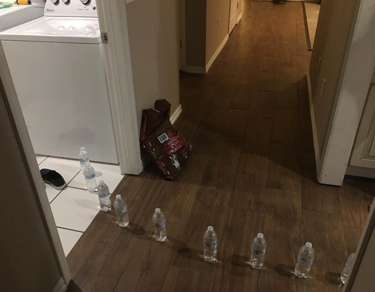 My kids came in and told me there was water coming from the laundry room. They said it looked like it started at the washer. I rushed in to find this. Buncha comedians in my house..
