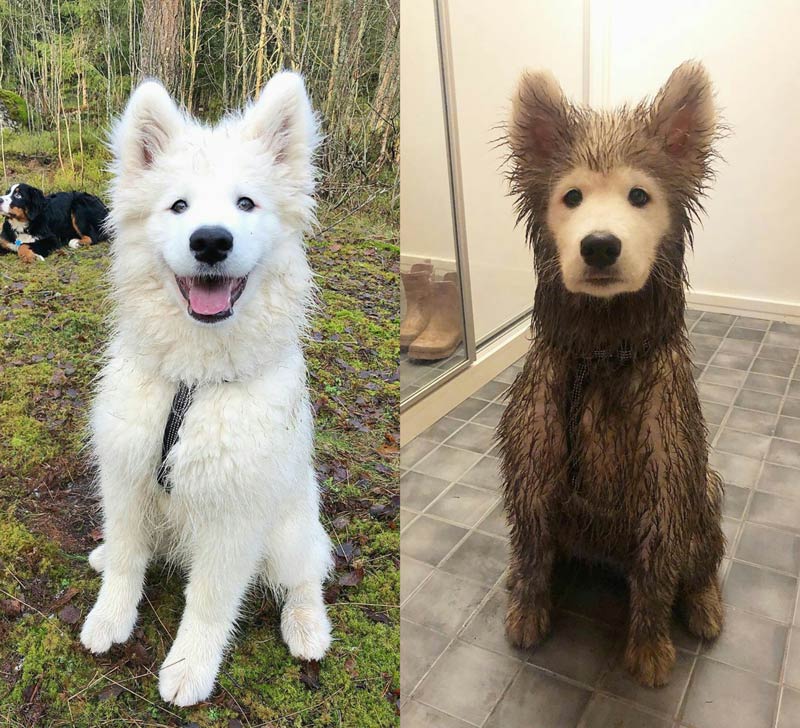 Before and after the playdate