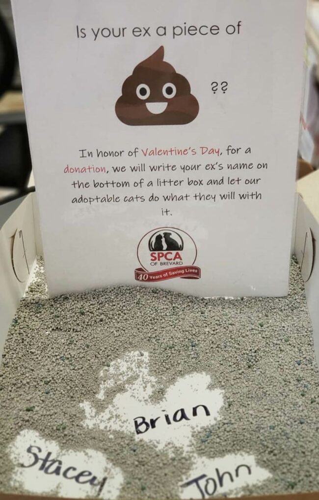Not a fan of your ex? In honor of Valentine'a Day, the Brevard SPCA in Titusville, FL, have created a special celebration