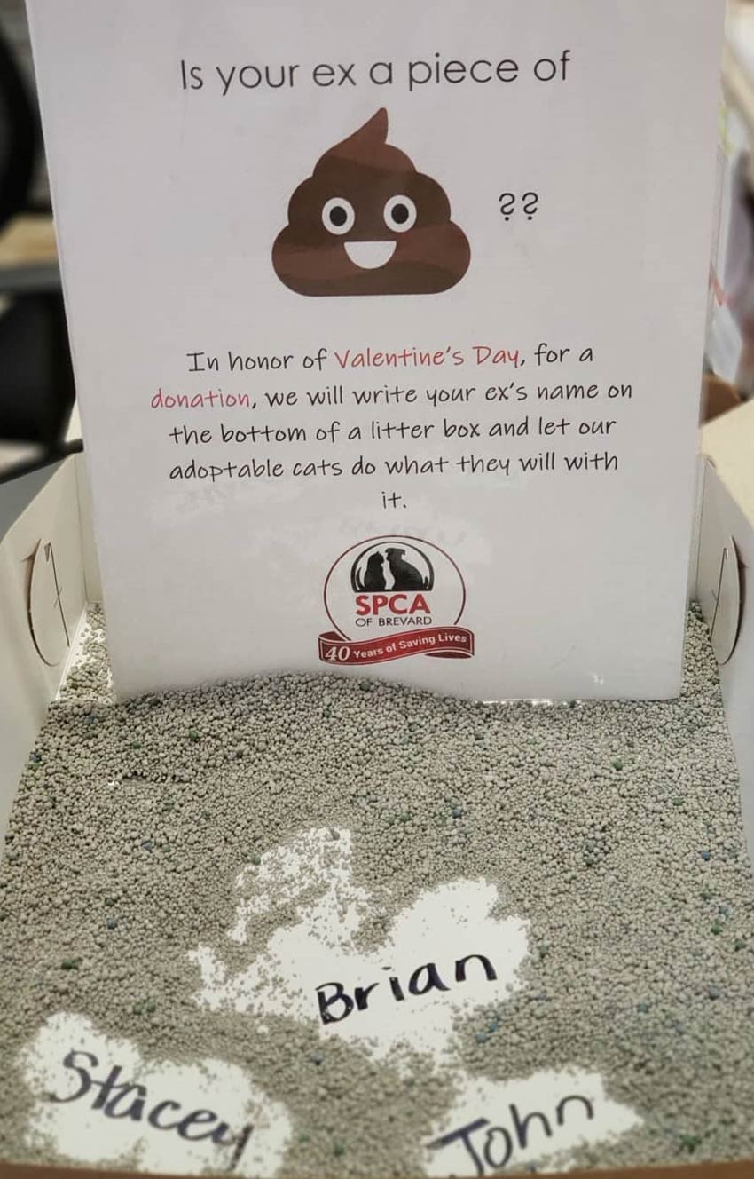 Not a fan of your ex? In honor of Valentine'a Day, the Brevard SPCA in Titusville, FL, have created a special celebration