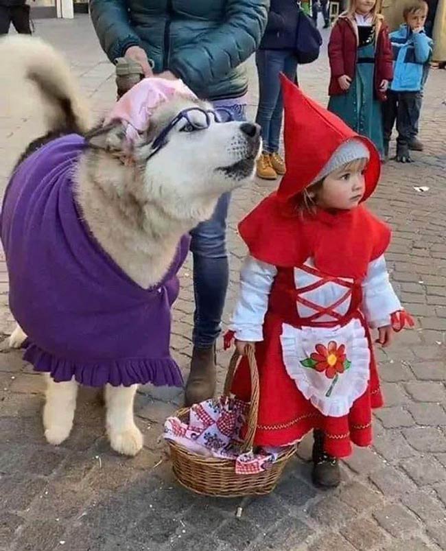 Cutest cosplay I have ever seen!