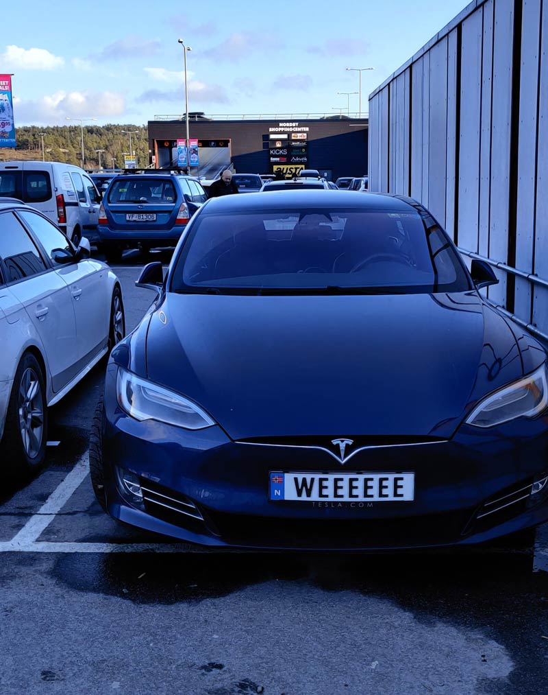 Found a happy Tesla!