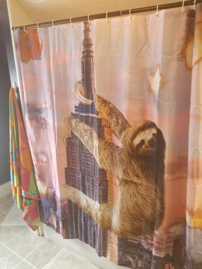 My fianceé asked me to find a new shower curtain