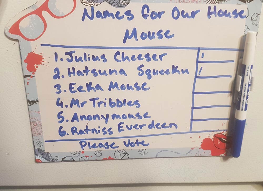My girlfriend has a mouse in her house, her cousin took it upon himself to make a voting board for names