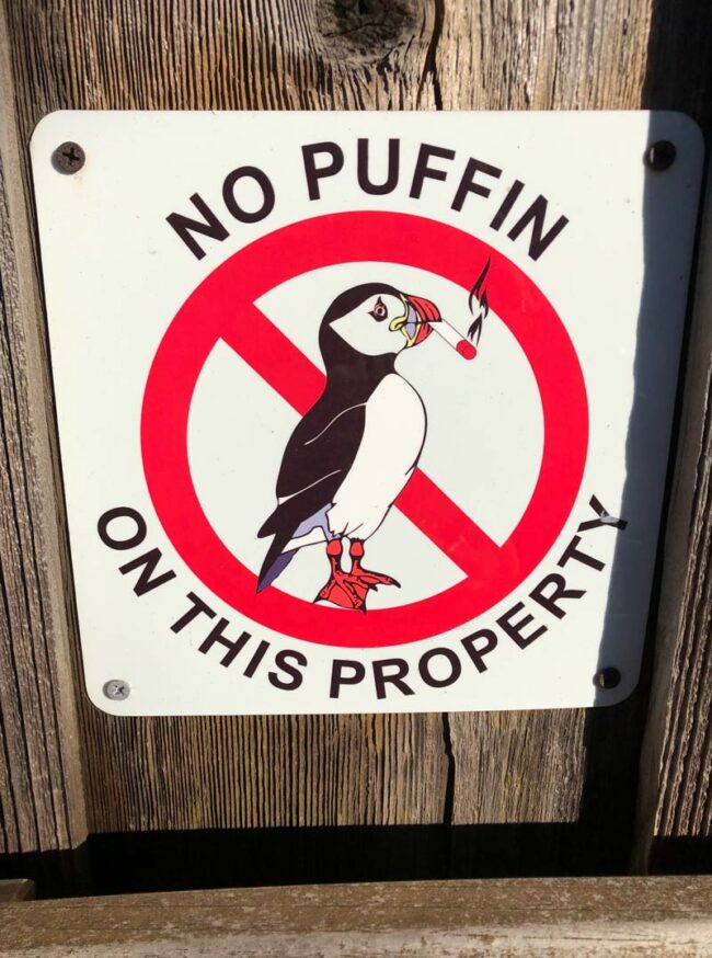 No Puffin!