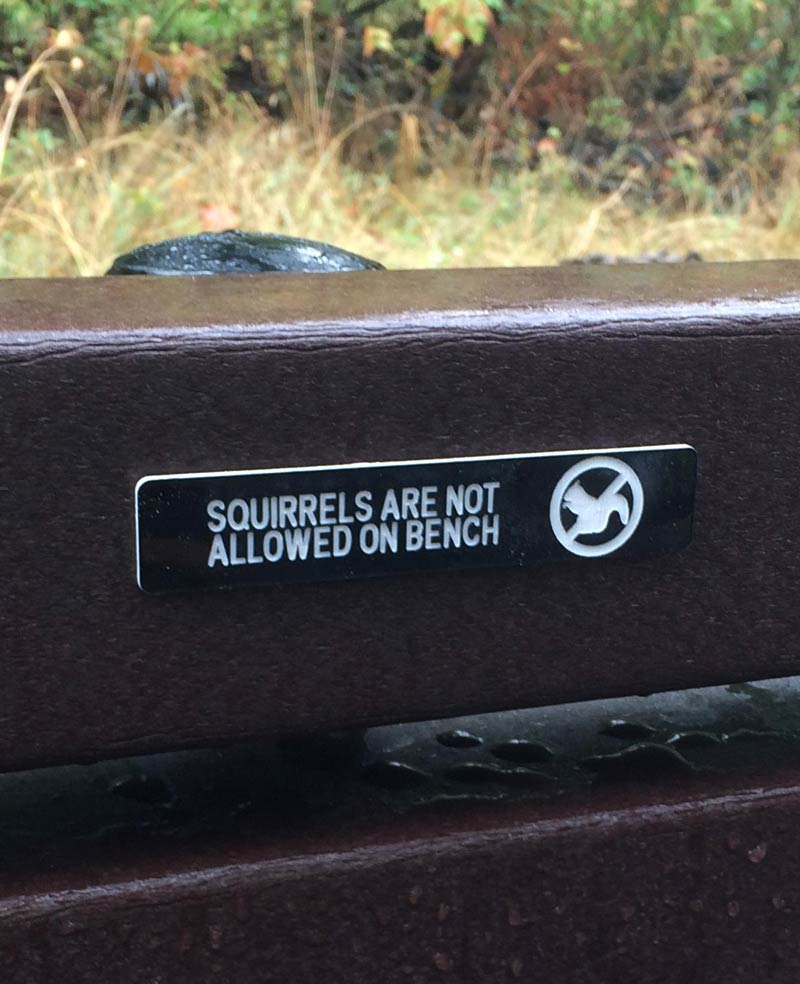 Squirrels, take note