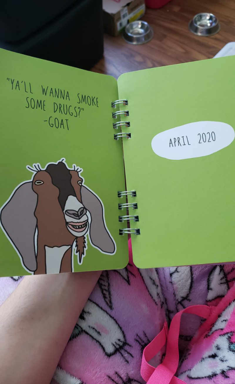  My wife bought our 10 year old daughter a new planner for school. She should have browsed through it before letting her take it to school