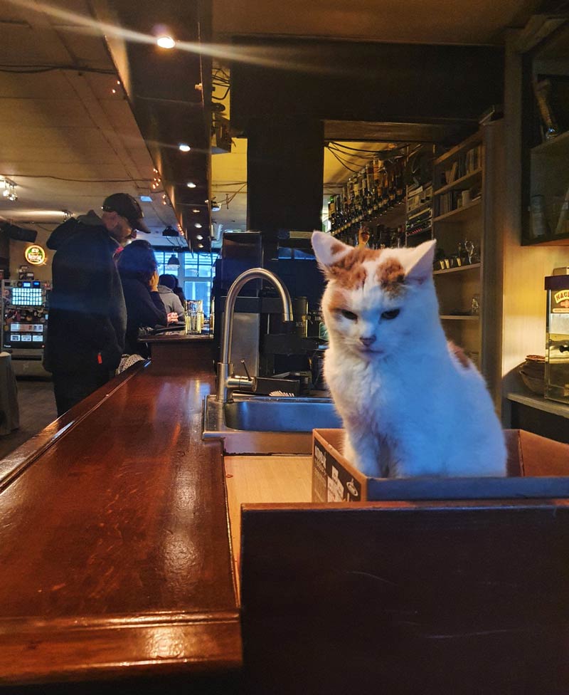 I went to a grunge bar in Amsterdam and found this guy just sitting in ...