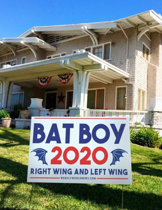 Bat Boy 2020