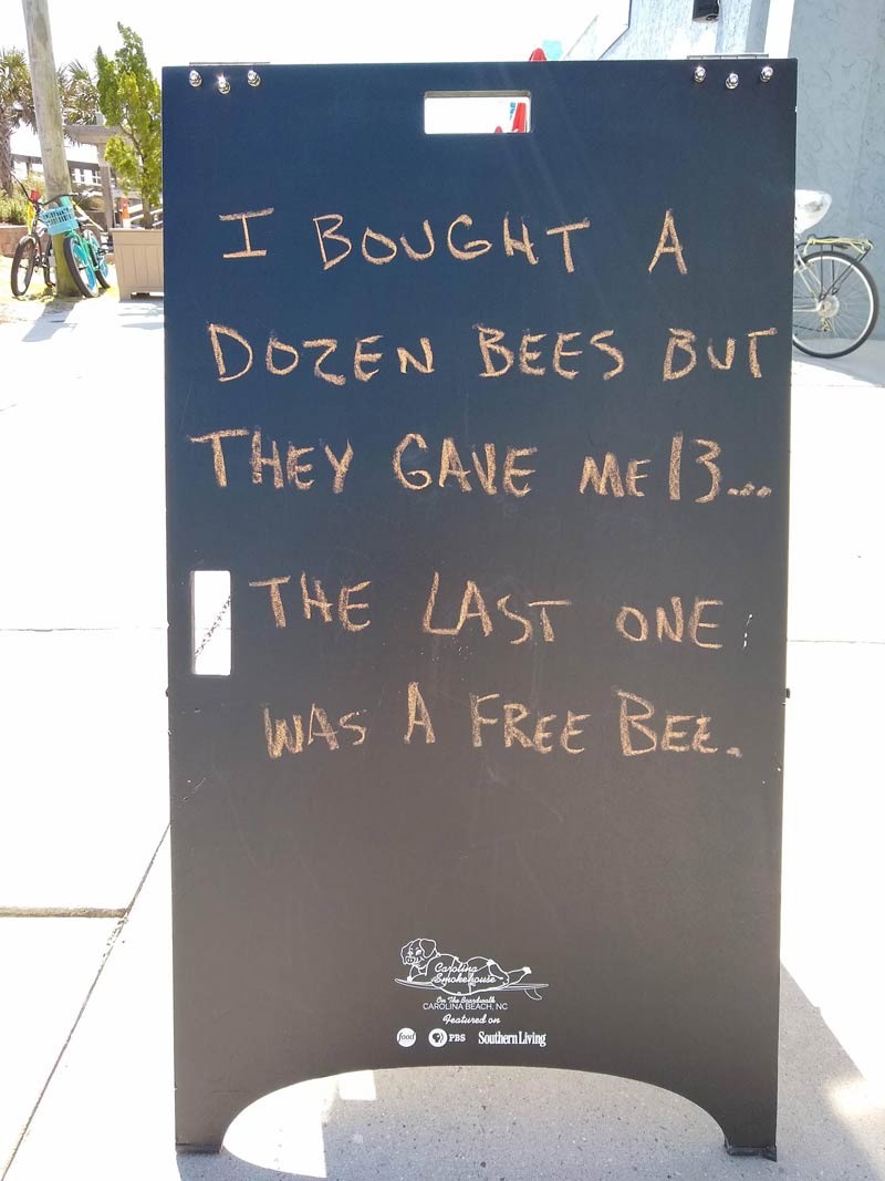 I bought a dozen bees..