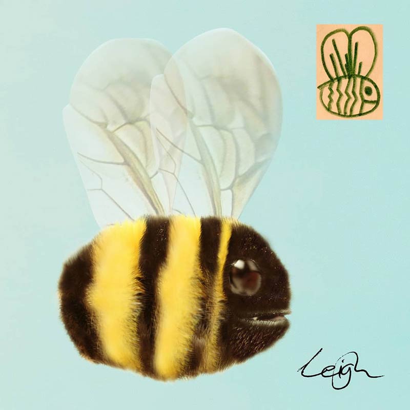 After the crazy reaction to the drawing of the dog. Here is a bee