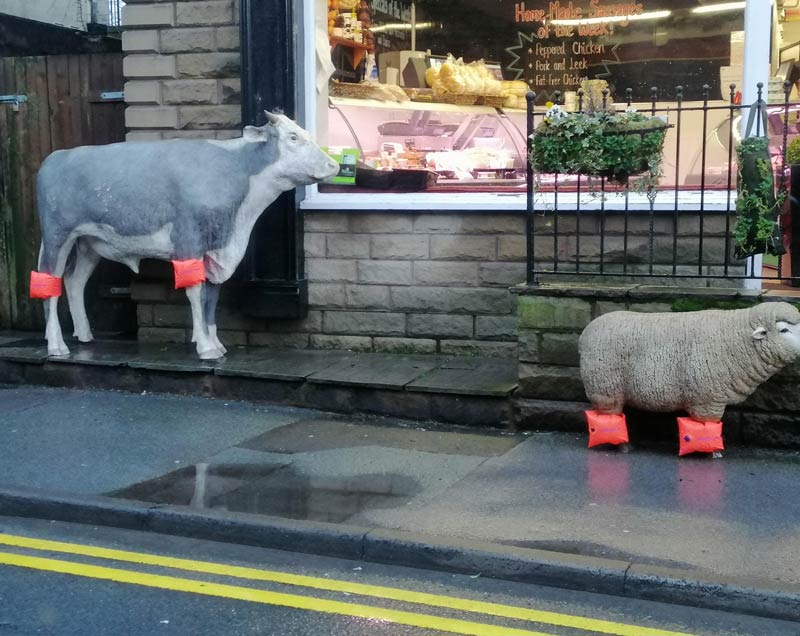 After recent flooding in our village, our local butcher did this to the model animals outside his store