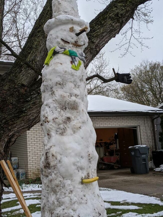 My dad, my fiancé, and I built a snowman today (in April). Banana for scale
