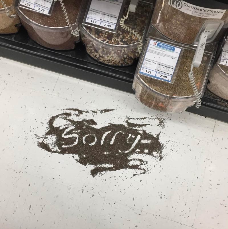 Someone spilled Chia seeds at the grocery store I work at and this is how they apologized. And no we do not live in Canada
