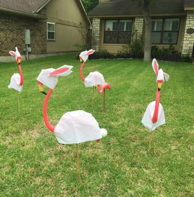 My neighbor couldn’t make it to the store for bunny decorations, so they decided to use what they had available