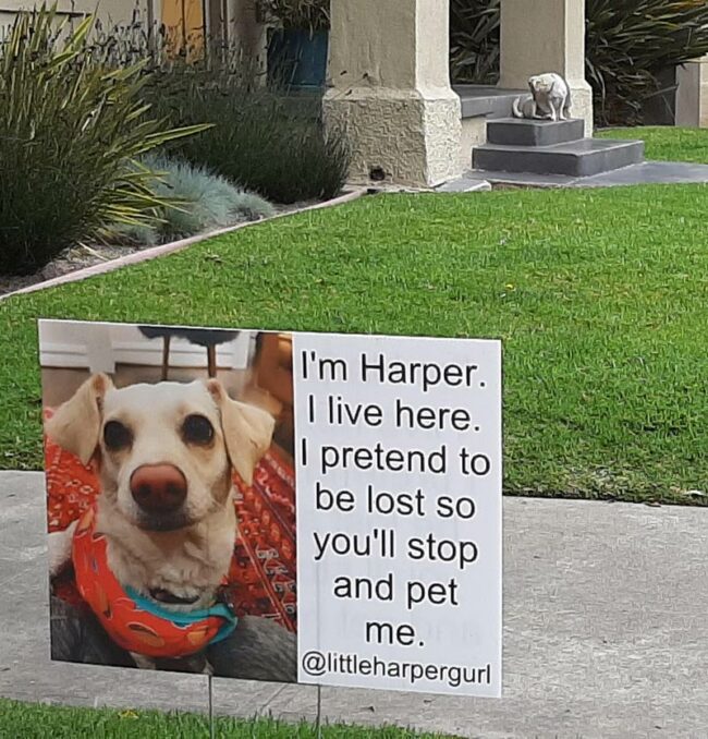 I'm Harper