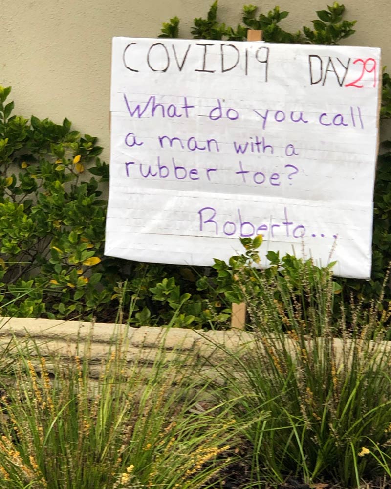 My neighbor's front lawn dad joke #29