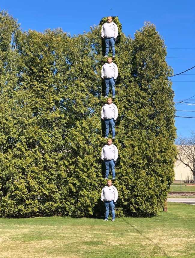 My brother wanted to measure the trees in his yard. This is how he did it