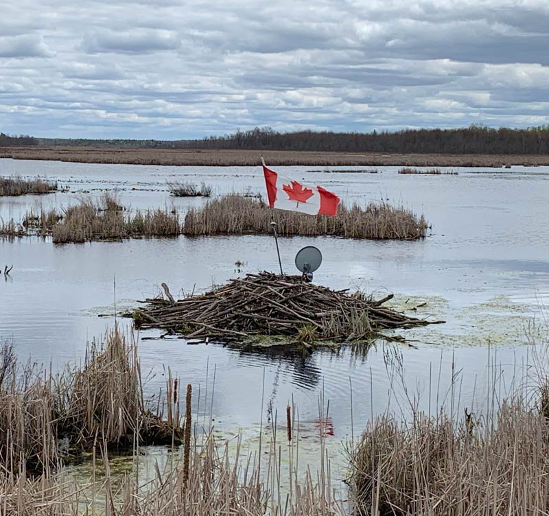 Beaver Dam with Canadian flag and satellite dish to watch the game