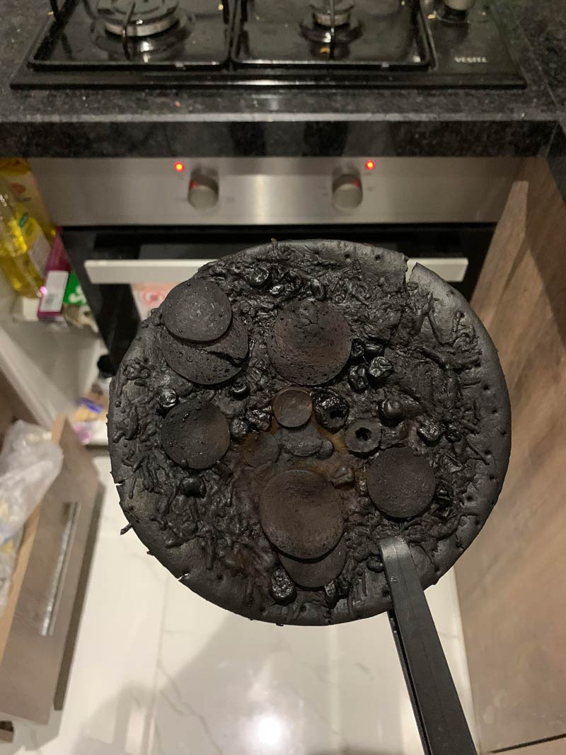 I forgot this pizza in the oven about a year ago