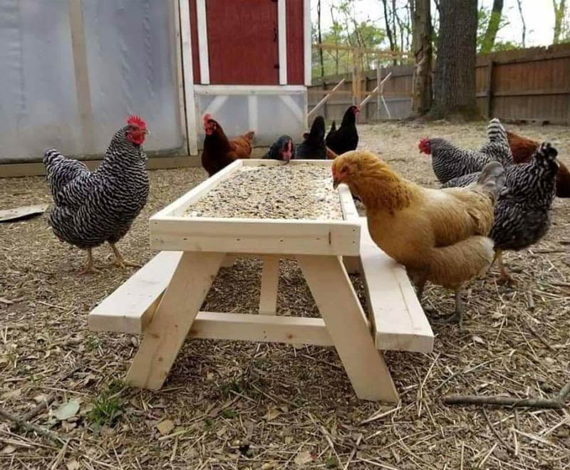 Chicknic Table