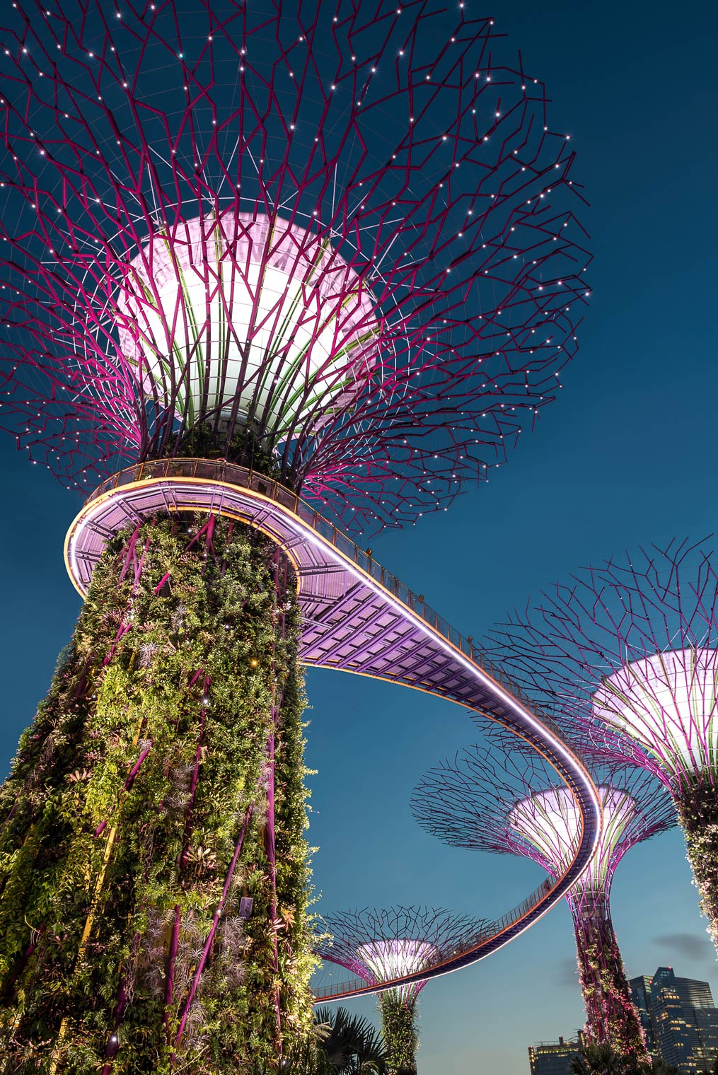 Gardens by the Bay, Singapore