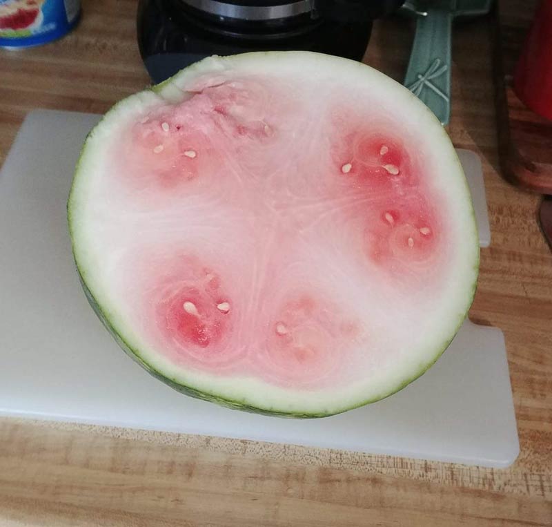 If 2020 was a watermelon