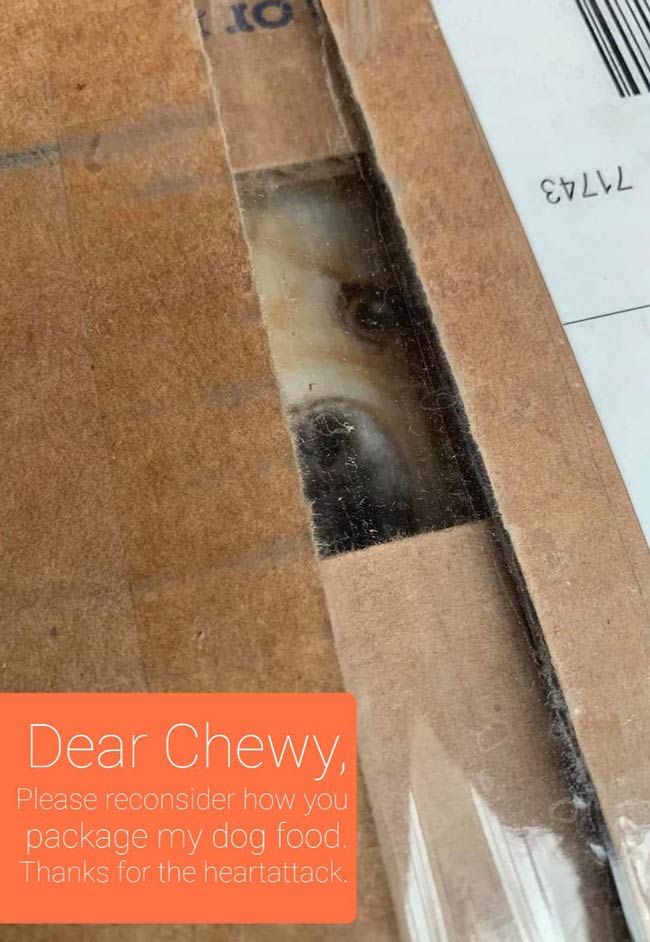 A quick note to Chewy..