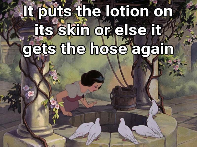 Snow White isn't taking any more bs from the dwarfs