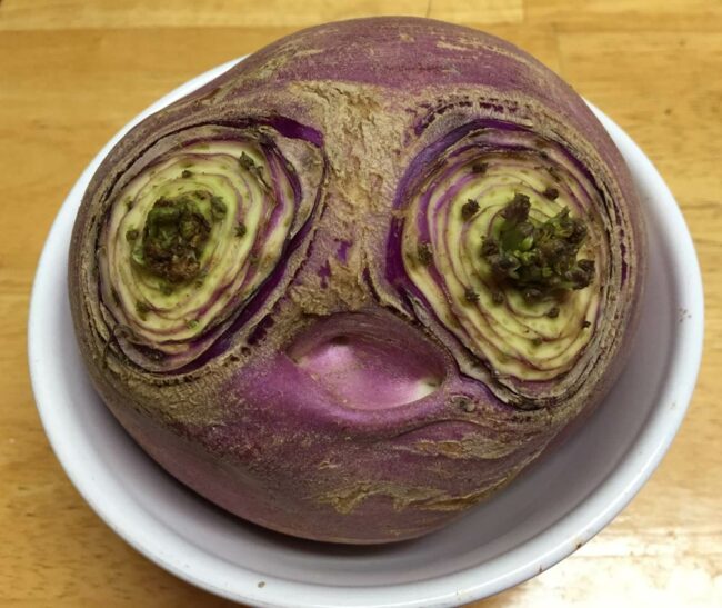 This turnip has seen some things..