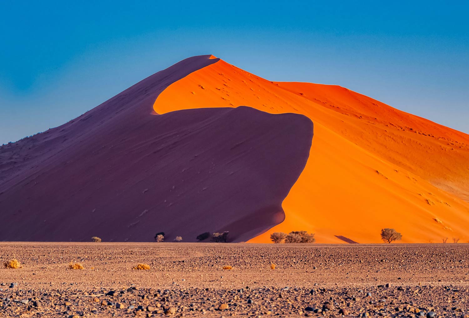 One oOne of the many beautiful dunes in the Namib desert, Sossusvlei, Namibiaf many beautiful dunes in the Namib desert, Sossusvlei, Namibia