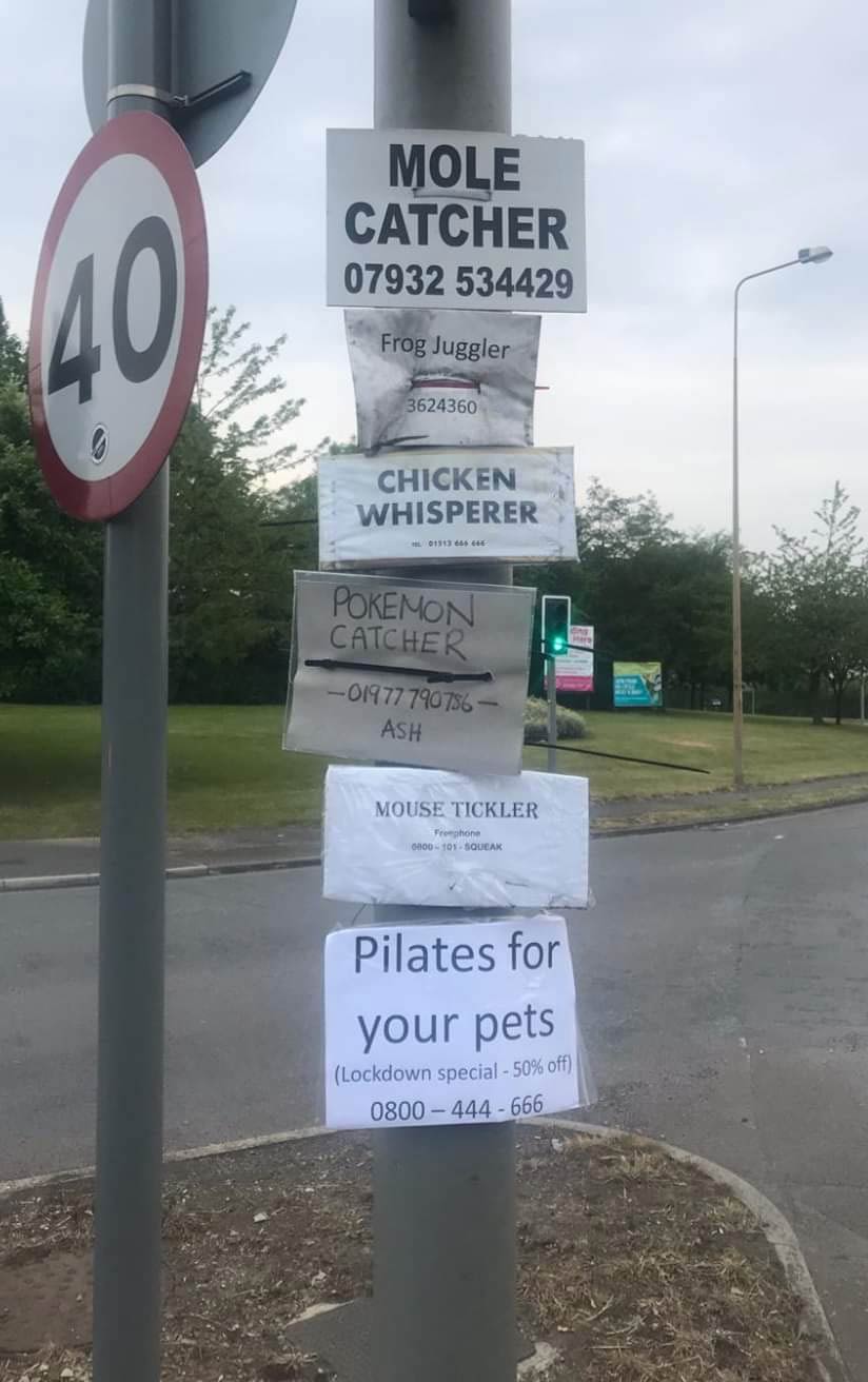 For all your animal needs