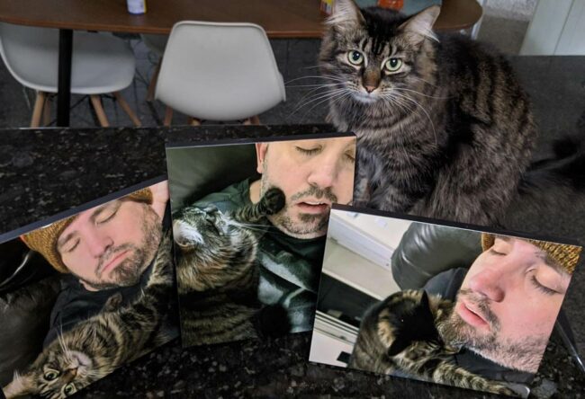 My wife has been secretly collecting pictures for months of me sleeping. For Father's Day, I was gifted the collection. I present Catnapping