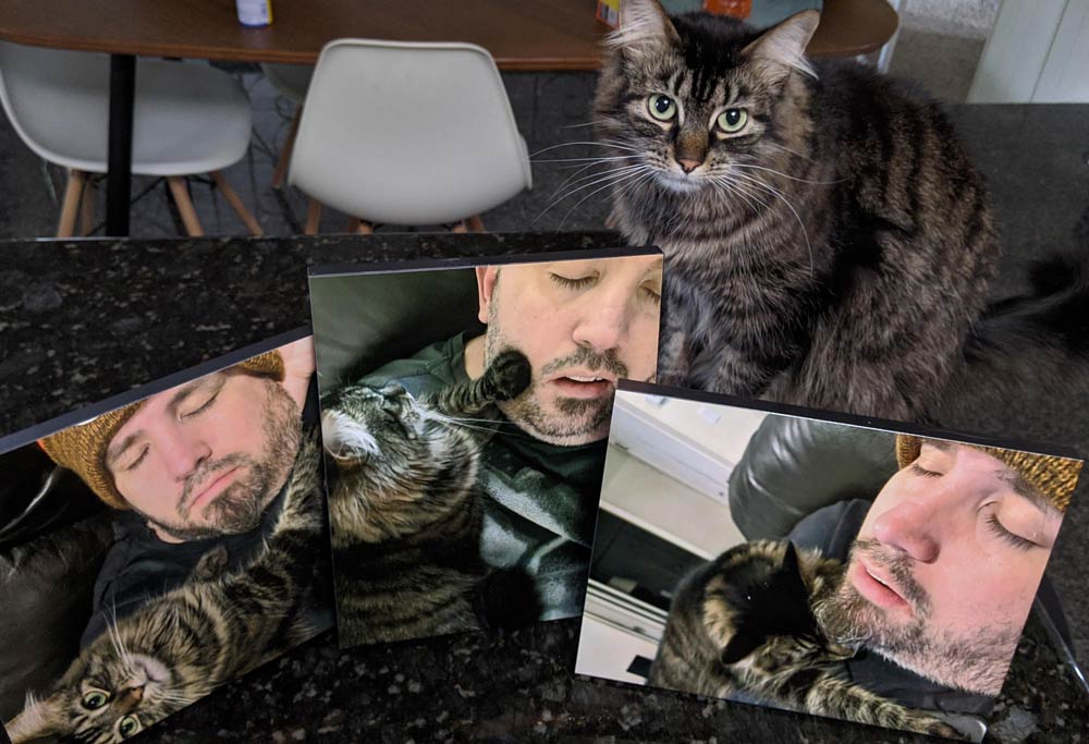 My wife has been secretly collecting pictures for months of me sleeping. For Father's Day, I was gifted the collection. I present "Catnapping"