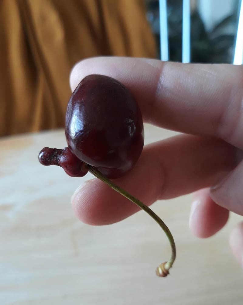 My daughter said it's a cherry with a big nose