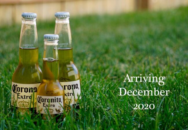 My wife and I found out we will be having a Coronavirus baby. This is how we announced to close friends