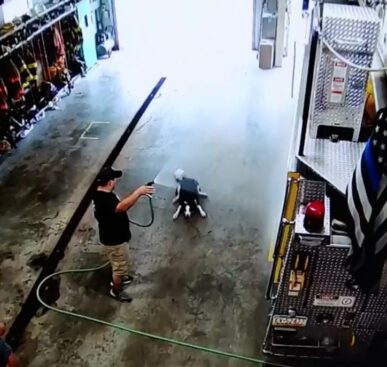 Dog’s Graceful Entrance To The Fire Department Truck Room