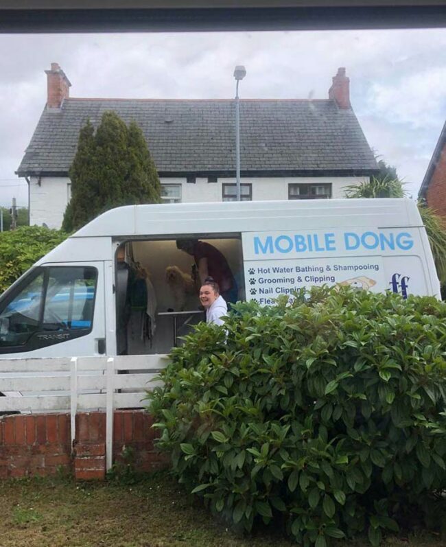 Girlfriend called a Mobile dog grooming service