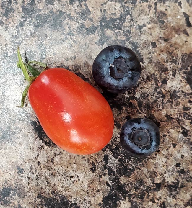 Planted a blueberry bush last year and a tomato plant this year. We have our first harvest!