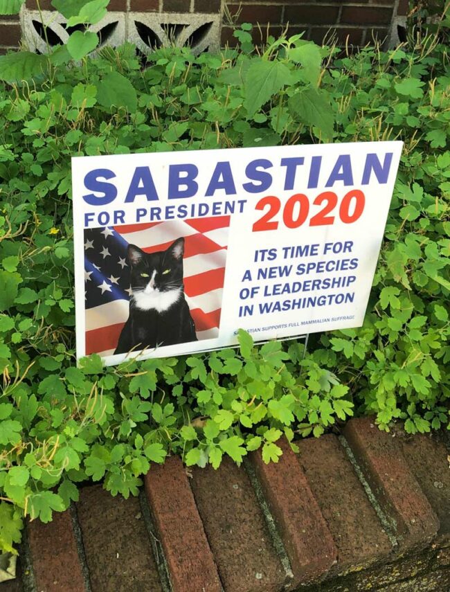 Sabastian 2020!