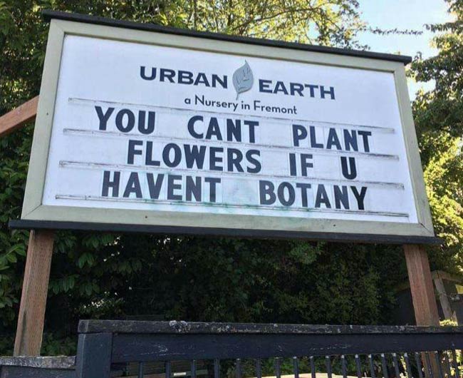 You can't plant flowers..