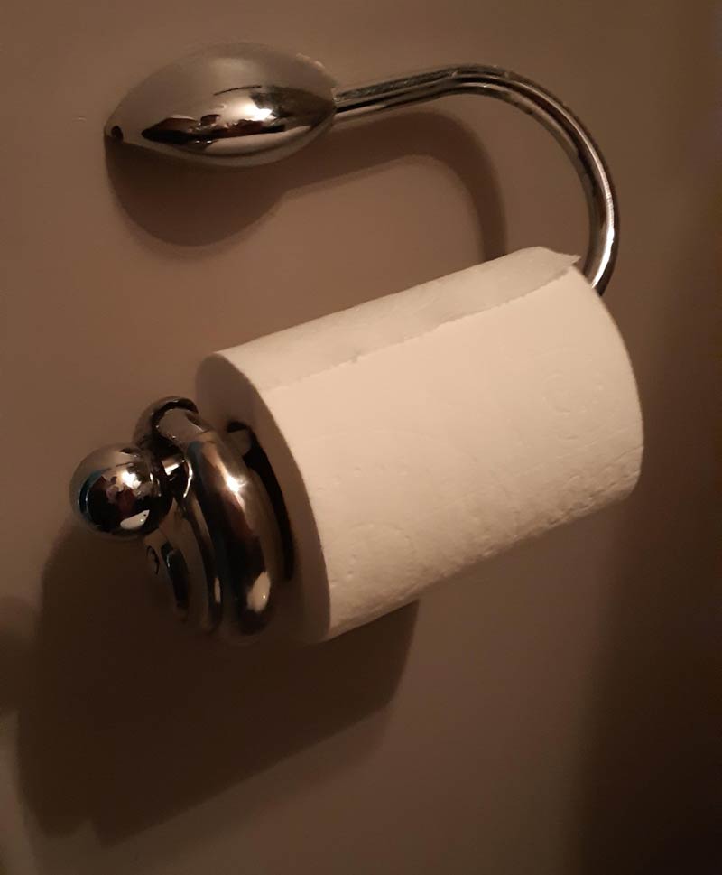 My girlfriend and I have an ongoing argument about which direction the toilet paper roll should face. Today I've decided to assert my dominance with a padlock