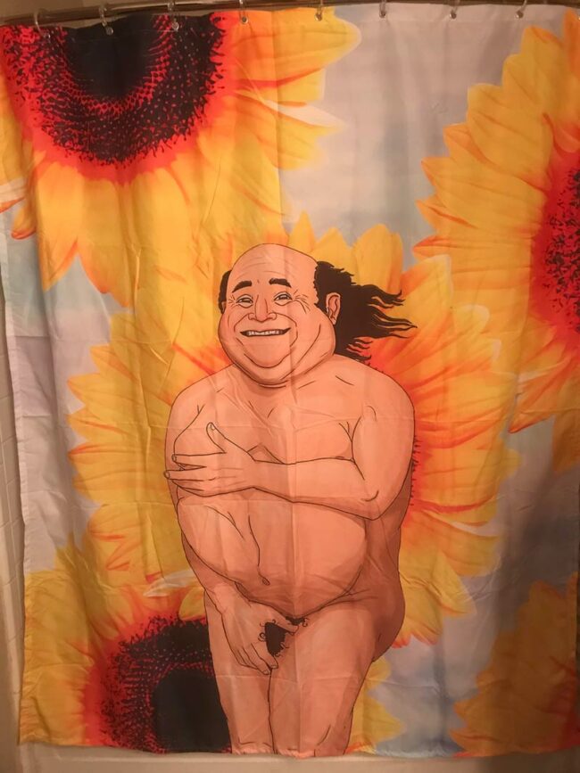 My girlfriend’s favorite flower is the Sunflower. So for her birthday (and since she took down my Jeff Goldblum/Harambe shower curtain) I ordered this Danny Devito Sunflower special
