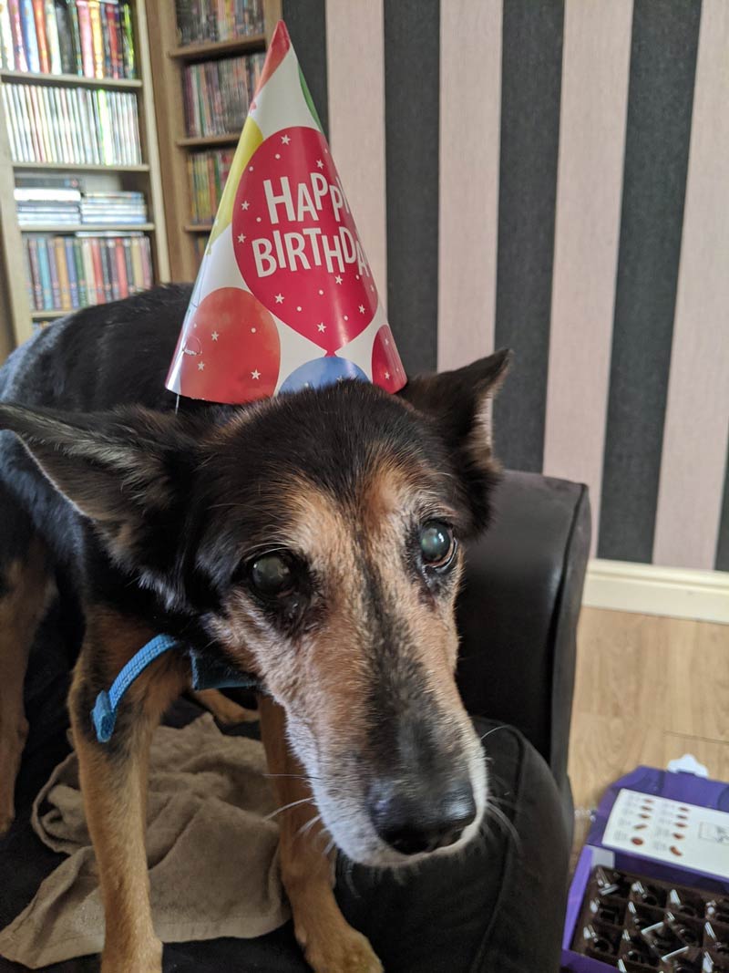 This is Cain. Cain just turned 20. Say happy birthday to Cain!