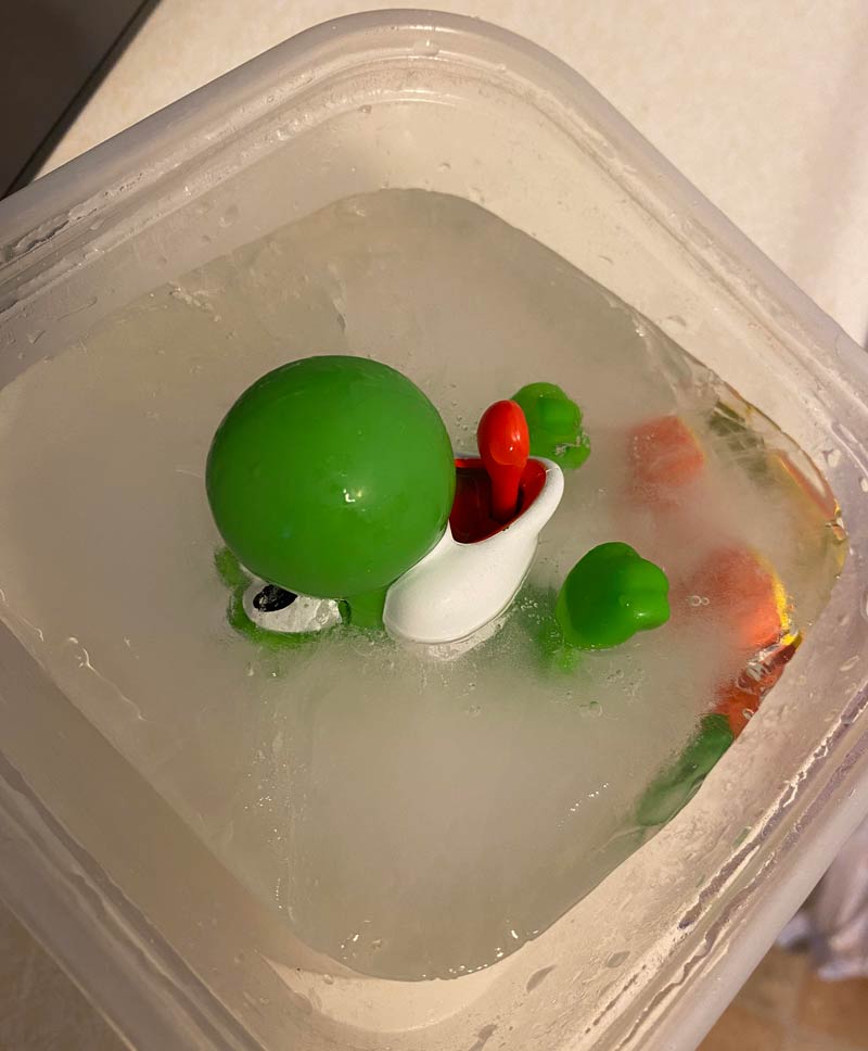 So I found my 9 year old’s “lost” Yoshi toy in my freezer
