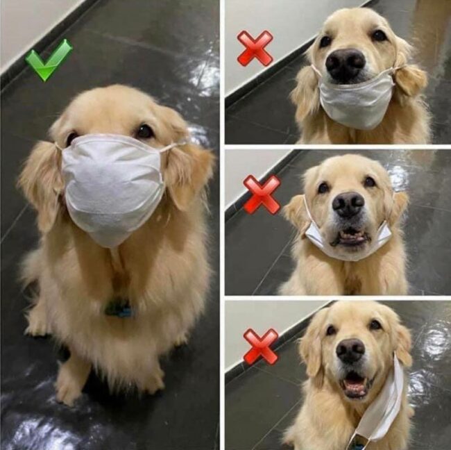 How to wear a mask