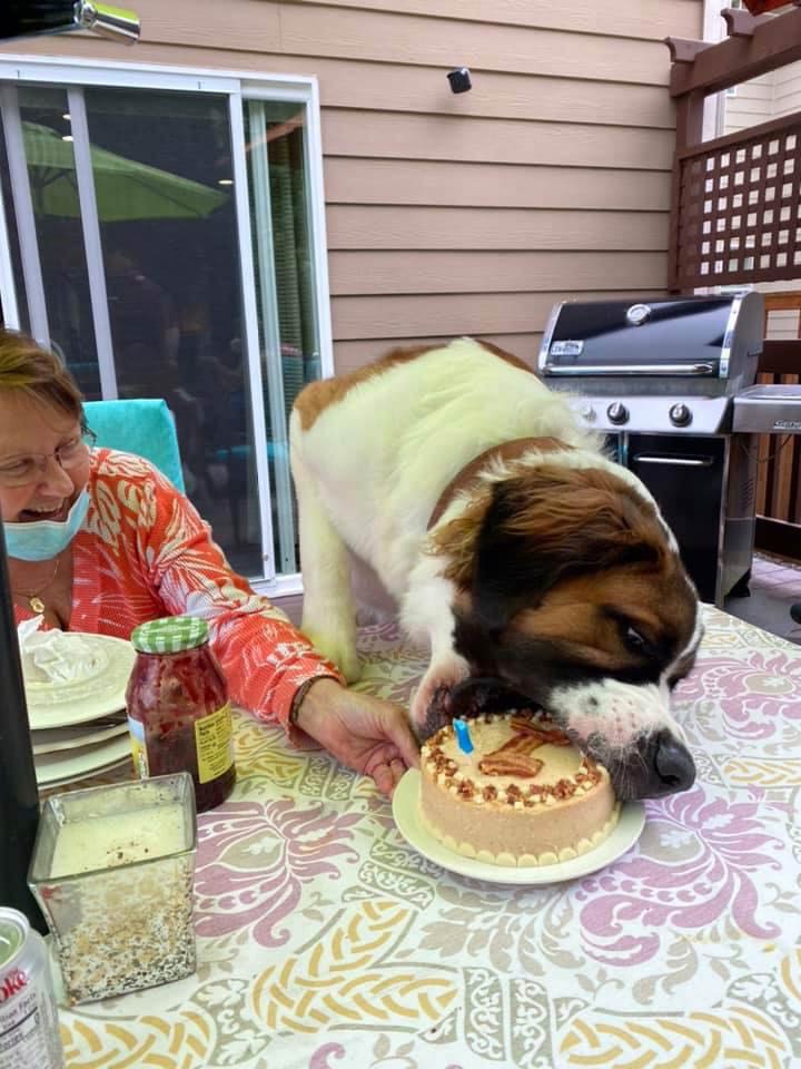 Moseley has his 1st birthday cake