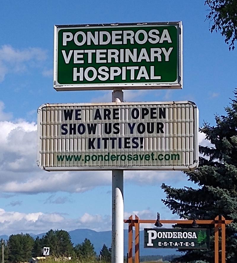 This sign at my Vet's office