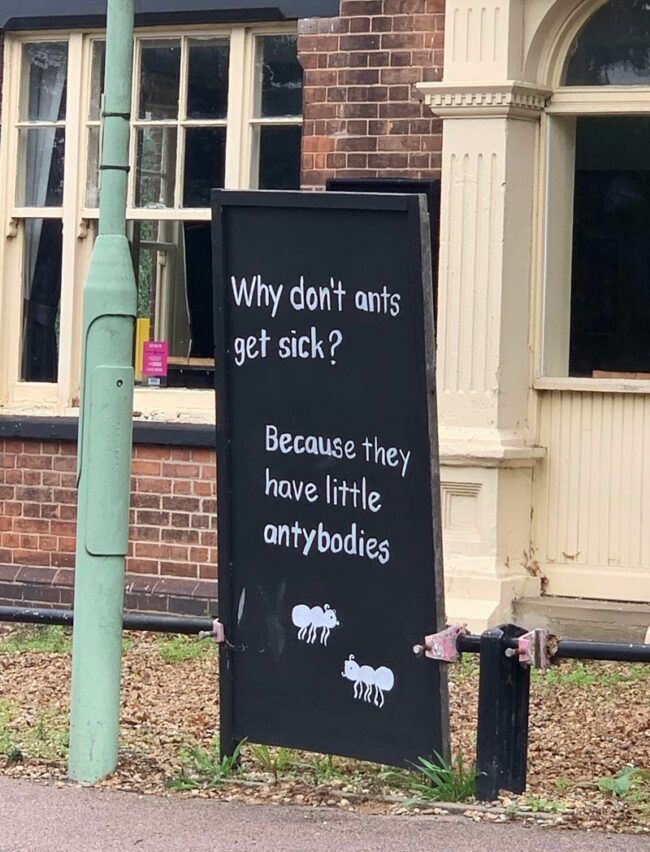 Saw this outside my local pub