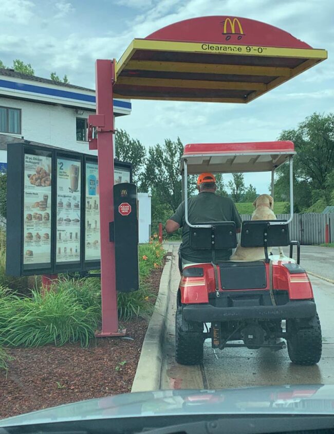 A guy, a golf cart and a good boi, going through the drive-thru at McDonald's